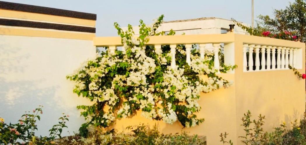 ROYAL MEADOWS - IGATPURI Bungalow C Bagian luar foto