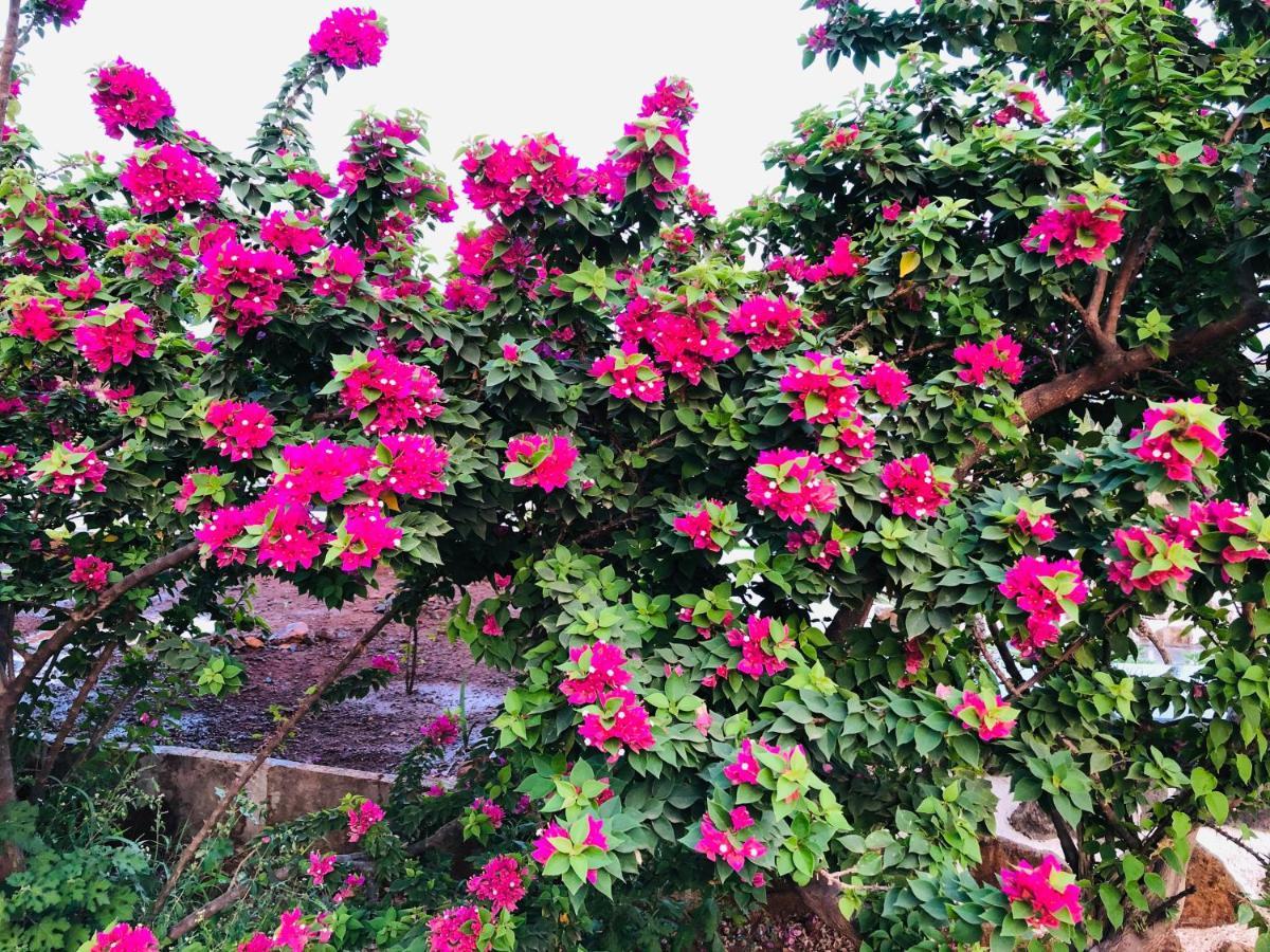 ROYAL MEADOWS - IGATPURI Bungalow C Bagian luar foto